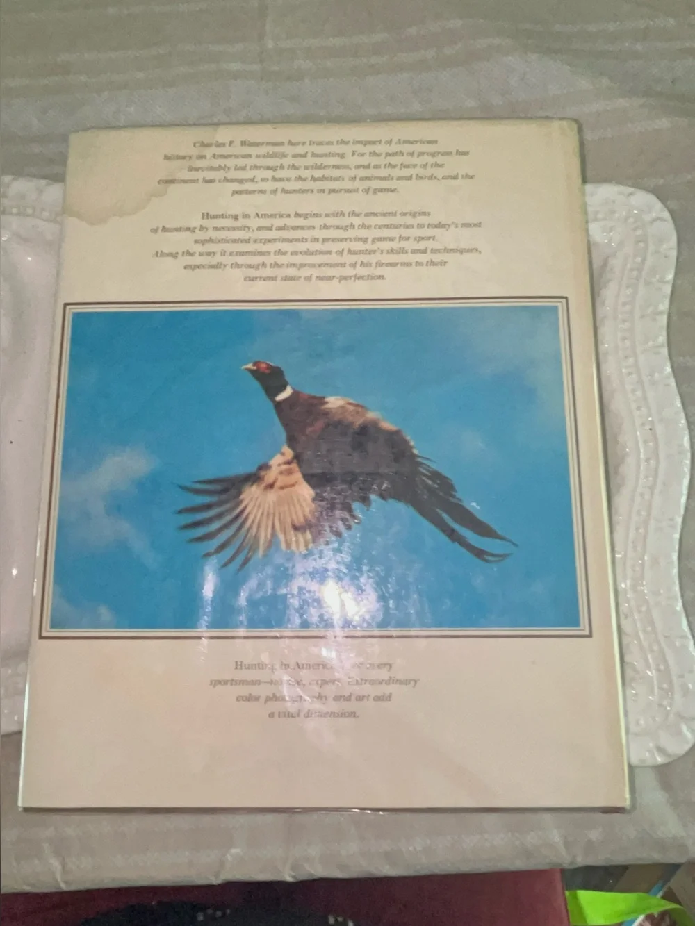 Hunting in America (1973 Hardcover) Coffee Table Book